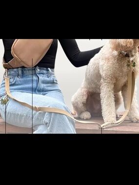 Hands-Free Dog Leash that attached to belt bag, belt - Beige